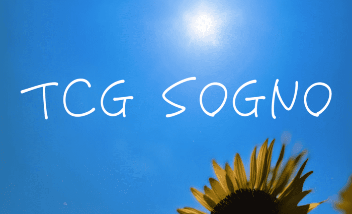 TCG Sogno イメージ