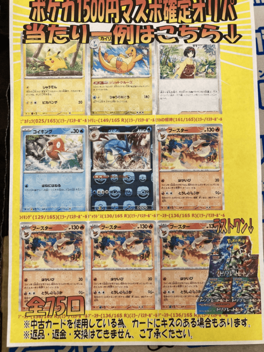 シーガル 参考例